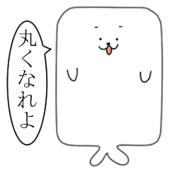 四角いあざらし