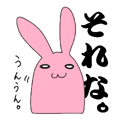 学生うさぎ