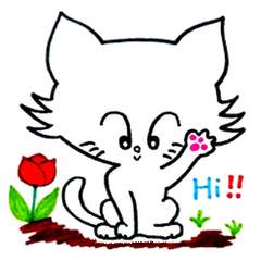 ももたん