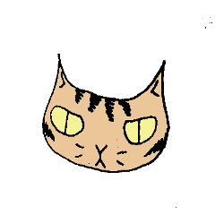 うちの猫
