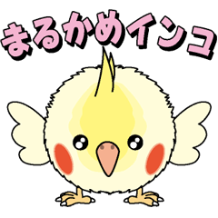 まるかめインコ