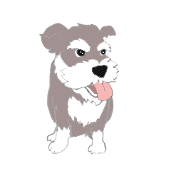 Mr.Schnauzer and his friends