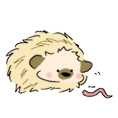 へっぢほっぐ ドリー