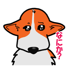 やる気無しバージョンのコーギー