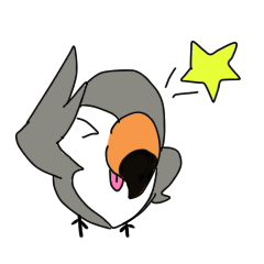南国育ちの愉快な鳥