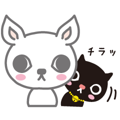 チワネコ