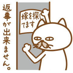 ヨメを探している猫