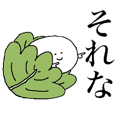 かしわもち