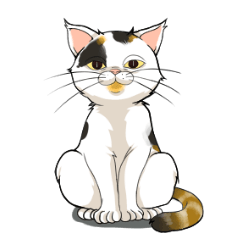 三毛猫ゆき千代