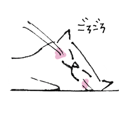 ネコのゴンベ
