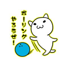 アクティブなネコ