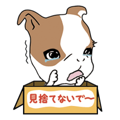 子ブル