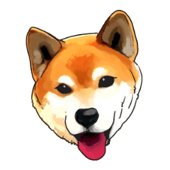 柴犬家族
