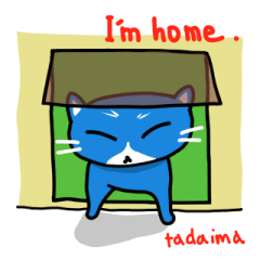 blue-white cat