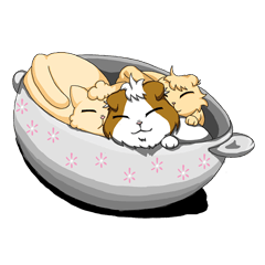 ねこざんまい