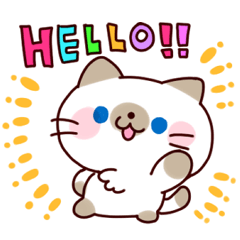 元気にゃシャムねこ
