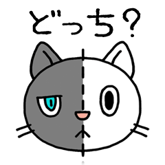 シロとクロ。