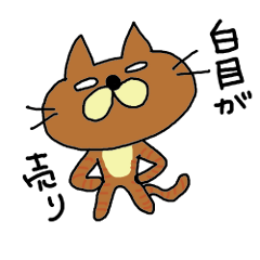 白目ネコ