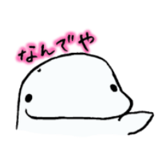 ぼやくぜ!白イルカさん