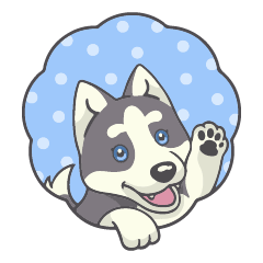 Playful Husky