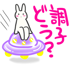 プカうさ