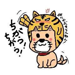 ヘルメットにゃんこ