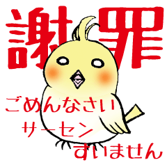 謝罪インコ