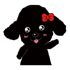 Black poodle and its friends