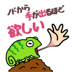 レオがやってきた!
