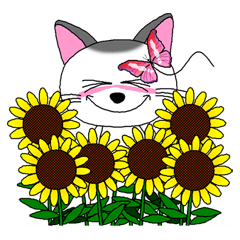 ニャッピのもっとゆるい１日