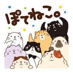 ぽてねこ。