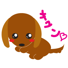 プリティミニチュアダックスちゃん