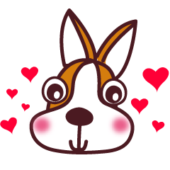 コーギー犬　　スモールグレープフルーツ