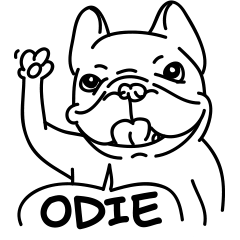 Frenchie ODIE