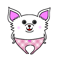 チワワの愉快な仲間たち