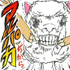 丸坊主アルパカ