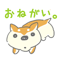 柴犬シバタロの日常
