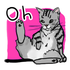Oh!アメショ