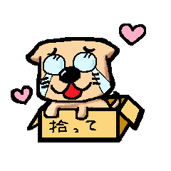 捨て犬。