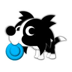 ペンネはかわいいボーダーコリー