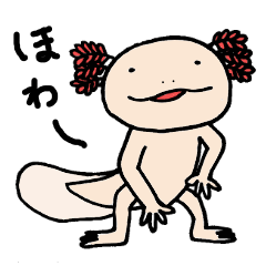ウーパーるぱちゃん