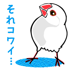 文鳥の日々