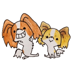パピヨン好き集まれ〜