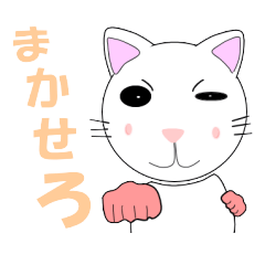新婚猫家