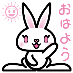 うさぎのmomo