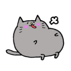 まるい猫。マル