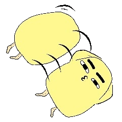 ピヨモだよ。