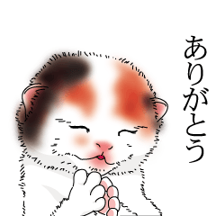ちょっとだけりあるにゃんこスタンプ