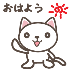 白猫マタタビくん