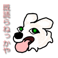 新潟代表！ベン木村(・へ・)